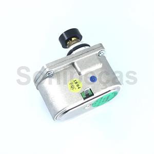 SERVOMOTOR NATURAL VAILLANT